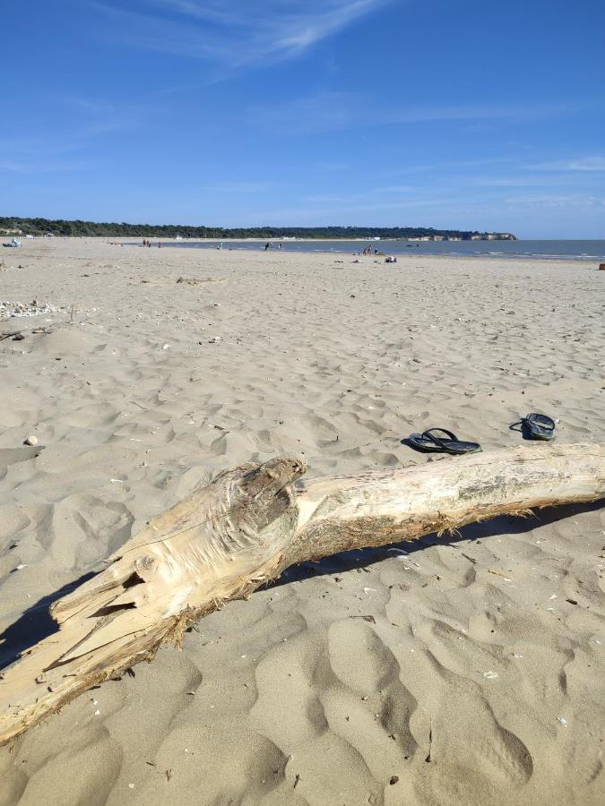 Idealement Situe, Tout A Pied, 60M2 Saint-Georges-de-Didonne Bagian luar foto